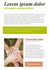 Agreement Green newsletter template