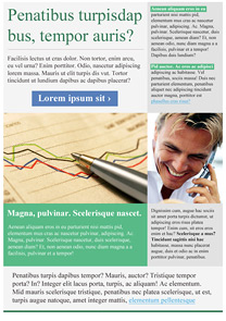 Statistics Green newsletter template