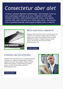 Business Class Navy Blue newsletter template