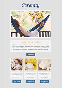 Serenity newsletter template