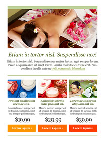 Deluxe Green newsletter template