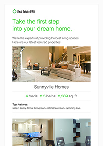 Real Estate Pro newsletter template