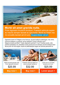 Paradise Beach Orange newsletter template